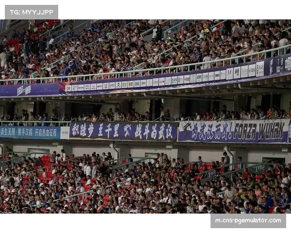 武汉三镇主场迎战对手,力争胜利保中超席位 武汉三镇主场迎战对手,力争胜利保中超席位